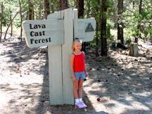 Summer at entrance to Lava Cast Forest